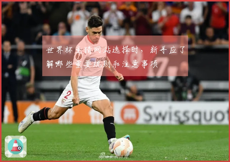 世界杯竞猜网站选择时，新手应了解哪些重要规则和注意事项